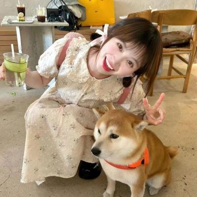 雪宝的从前从前