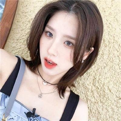 自然世界：动物之家